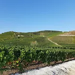 Bed & Breakfast La Cour Des Marotiers Mareuil-sur-Ay