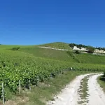 La Cour Des Marotiers Bed & Breakfast