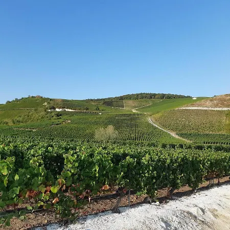 Bed and Breakfast La Cour Des Marotiers Mareuil-sur-Ay