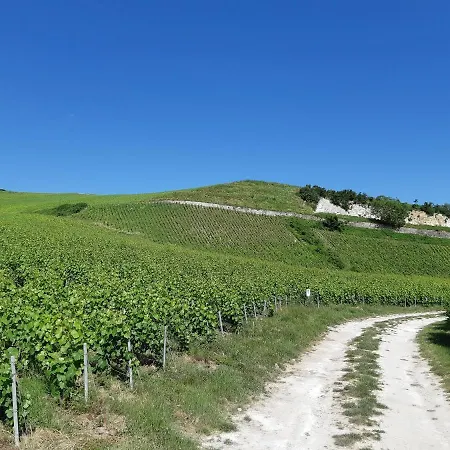 La Cour Des Marotiers Bed and Breakfast