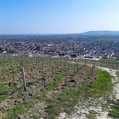 La Cour Des Marotiers 3* Mareuil-sur-Ay