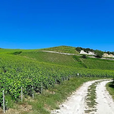Bed & Breakfast La Cour Des Marotiers 3*