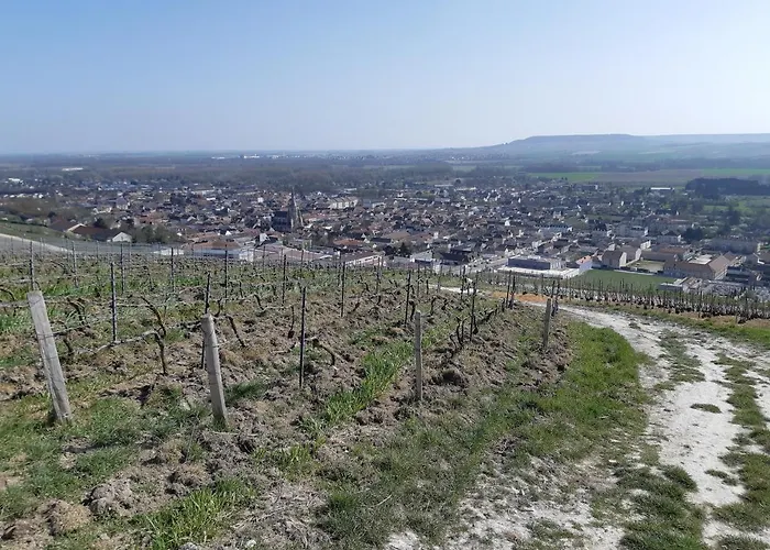 La Cour Des Marotiers Bed & Breakfast Mareuil-sur-Ay